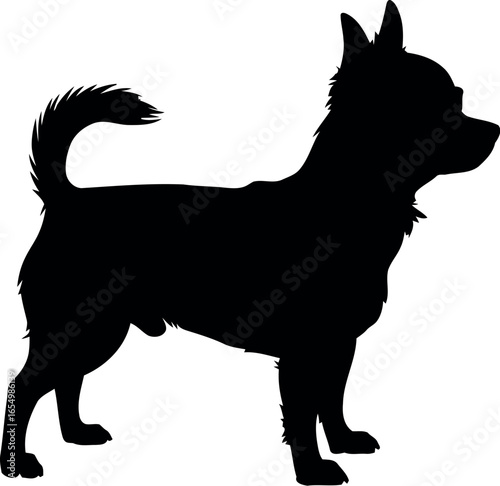 Silhouette of a small dog standing with its tail curled up and ears perked looking to the right side