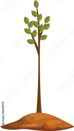 Small tree growing from fertile soil, representing new beginnings, environmental conservation, and growth potential