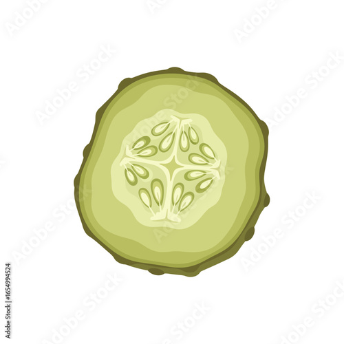Isolated illustration of a single slice of a green cucumber with seeds on a plain white background