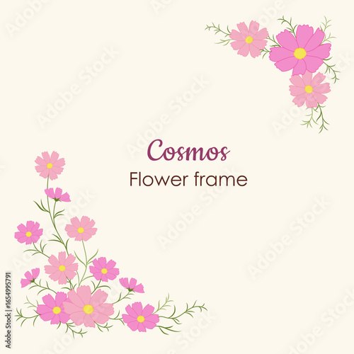 코스모스 프레임