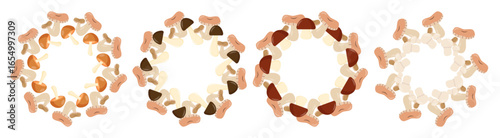 A collection of various mushrooms arranged in a circular pattern. The mushrooms display different colors and shapes, showcasing their natural diversity