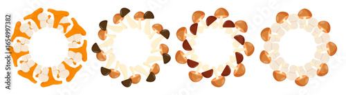 A collection of various mushrooms arranged in a circular pattern. The mushrooms display different colors and shapes, showcasing their natural diversity