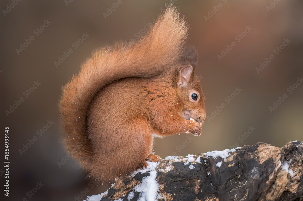 Obraz premium Generated image