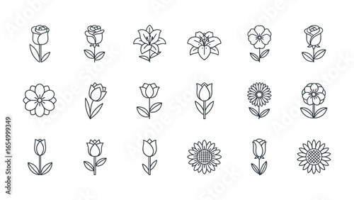 Blooming Beauty: A collection of intricately illustrated line art flowers, displaying diverse shapes and species, exuding elegance and botanical charm.