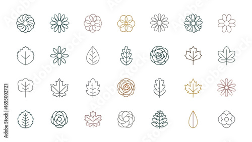 Botanical Emblems: A meticulously curated collection of delicate, line-drawn botanical emblems, featuring a variety of elegant flowers, leaves, and unique floral designs.