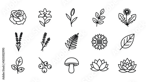 Botanical Collection: Exquisite illustrations of diverse flowers and plant life, beautifully rendered in a minimalist, line art style, evoking the serenity of nature's designs. 