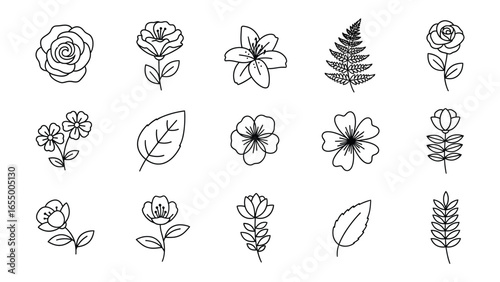 Botanical Beauty: Delicate line drawings of flowers and foliage showcase the elegance of nature's designs, perfect for adding a touch of floral artistry to any project.
