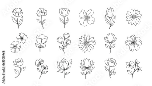 Elegant Floral Line Art Collection: An elegant collection of floral designs, each rendered in simple, delicate line art, showcasing a variety of botanical forms for artistic inspiration.