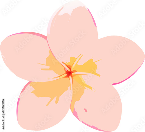 A single vibrant pink plumeria flower viewed from above