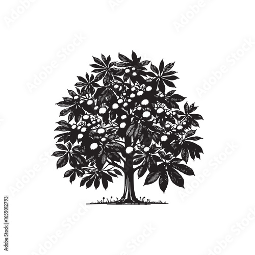 Black Color Chestnut Tree Silhouette Vector Illustration, Solid White Background.