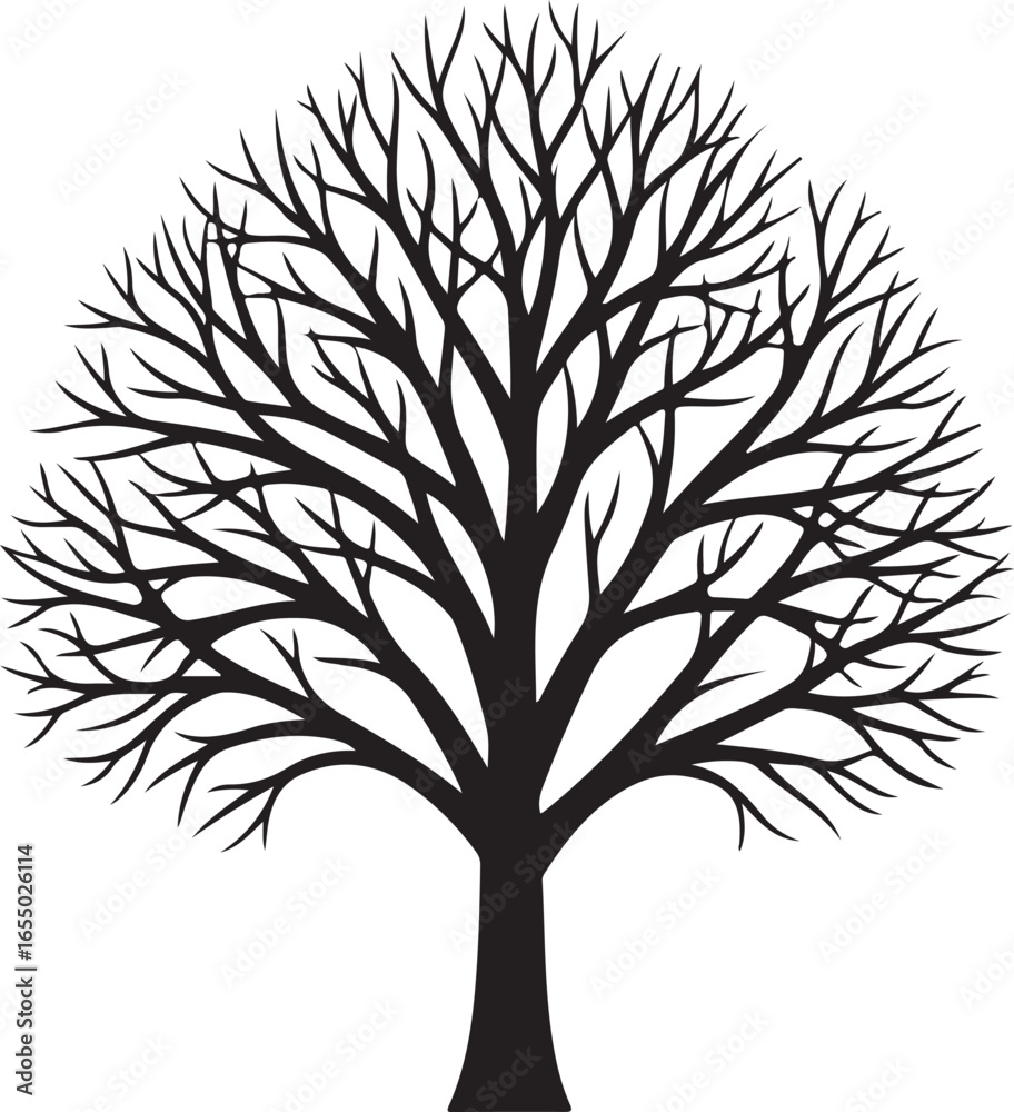Obraz premium Black Silhouette of a Bare Tree with Intricate Branching Structure white