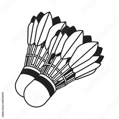 badminton racket and shuttlecock sketch