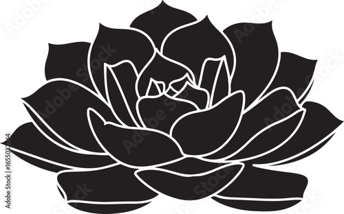 Black Silhouette of a Succulent Plant with White Outline on White Background flower bloom
