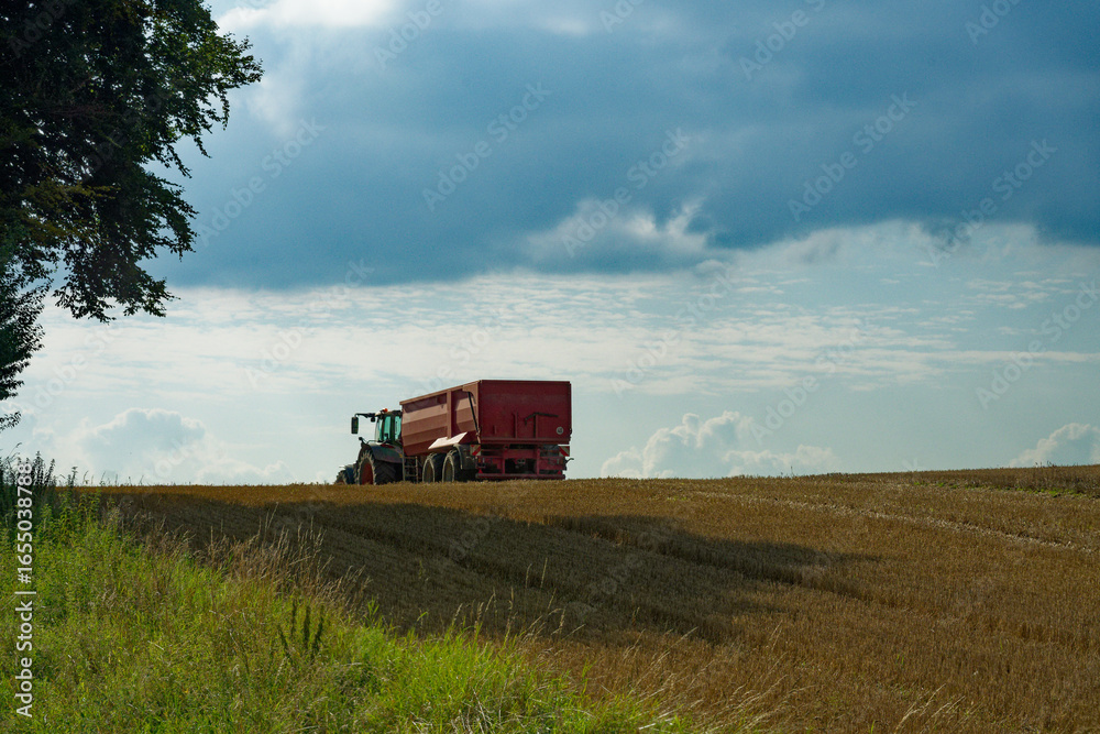 Combine harvester and tractor working in golden wheat field Combine harvester and tractor working in golden wheat field