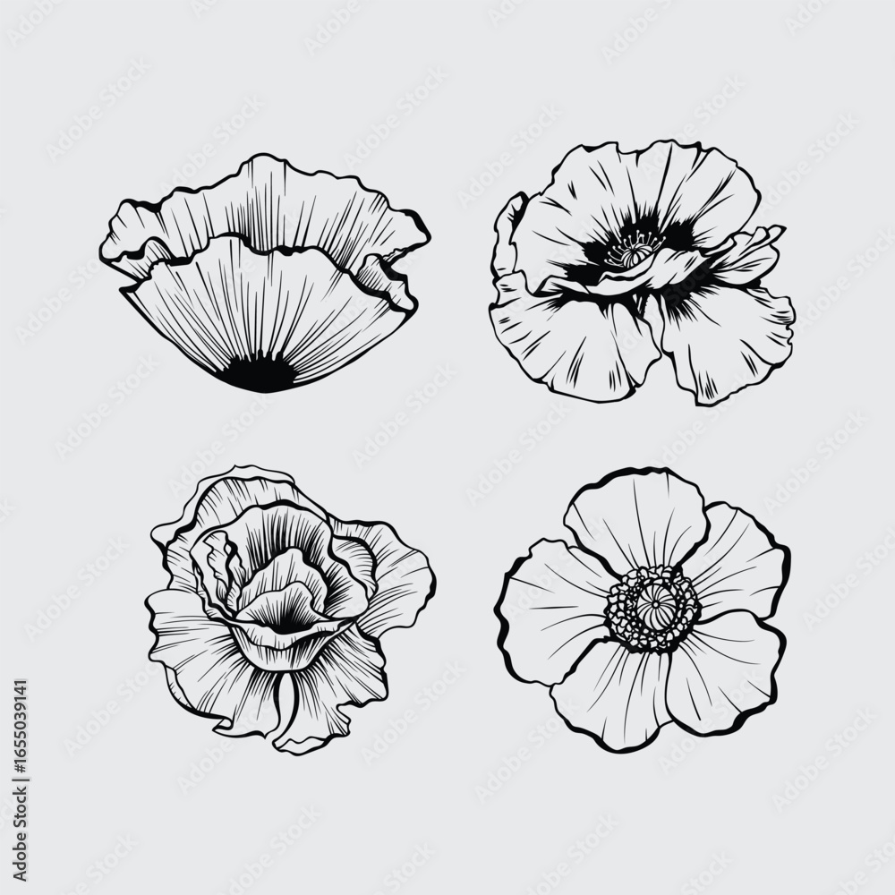 Fototapeta premium Hand drawn rose silhouette