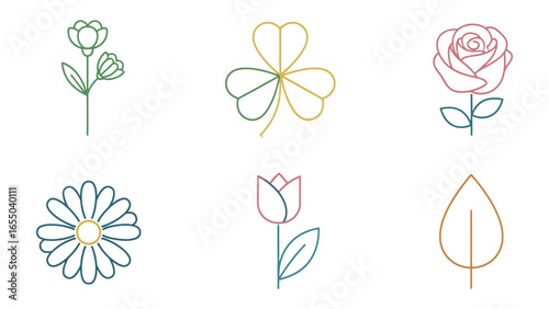 Botanical Sketch: A curated set of linear botanical illustrations showcasing a range of flower and leaf, each rendered with delicate line work.