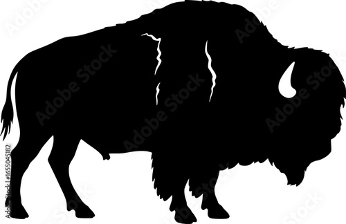 Bison buffalo vector silhouette, outline vector illustration on white background
