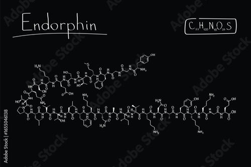 Endorphin Chemical Structure – Natural Painkiller Hormone Sketch