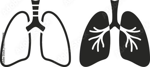 Lungs Anatomy with Bronchial Tree Silhouette on Transparent Background