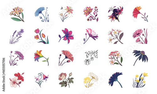 Collection of 24 Beautiful Colorful Flower Illustrations Featuring Daisies, Tulips, Hibiscus, Sunflowers, Plumeria, Roses, Lilies, Lavender, and Mixed Botanical Art Elements in Elegant Hand-Drawn Sty