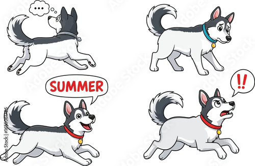 Playful husky dog expresses emotions like excitement and surprise on grass