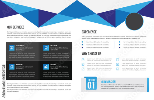 Brochure layout: blue geometric header, text blocks, icons, "Our Services," "Experience," "Why Choose Us," gray accents, professional, clean design, bright lighting, informative.