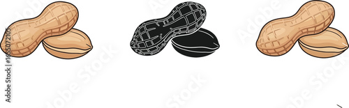 Fresh peanuts with leaves, modern icons and illustrations