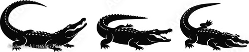 Silhouettes of crocodiles in various poses, open mouths, textured backs, tail positions, wildlife reptiles, predator behavior, educational illustration, animal concept