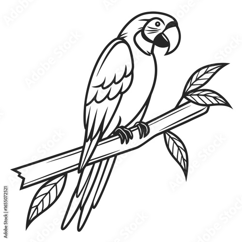 parrot on a branch