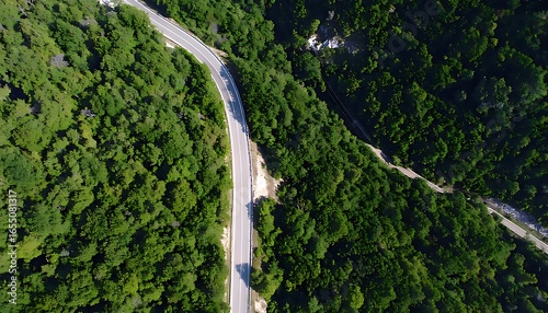 Winding road through lush green forest.