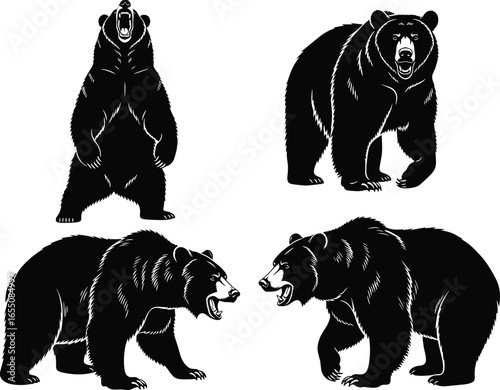 Bear silhouette grid, four roaring poses, standing, walking, aggressive stance, wild animal clipart, black vector PNG, nature theme