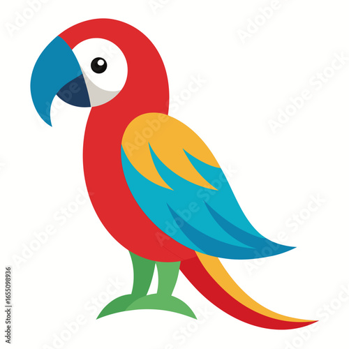 Macaw vector on white background