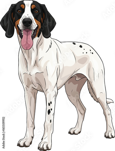 Ariegeois dog standing happy panting smiling facing front illustration