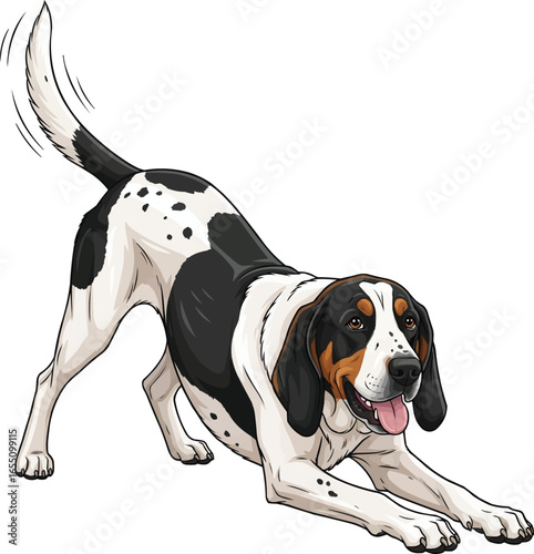 Playful Ariegeois dog in play bow pose happy vector illustration