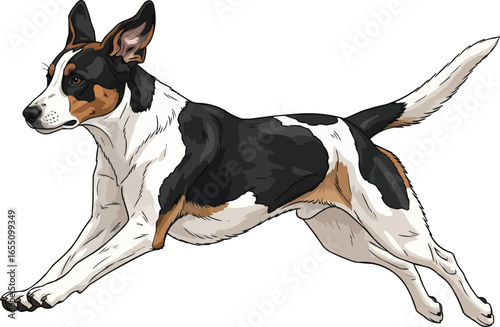 Ariegeois dog running athletic - energetic vector illustration