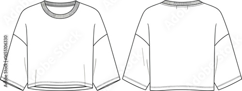 Loose crop top, oversized t-shirt, women’s fashion design, casual streetwear style, trendy apparel vector illustration