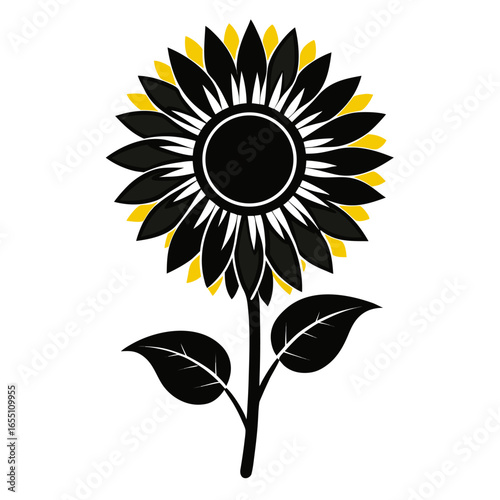 sunflower vector illustration