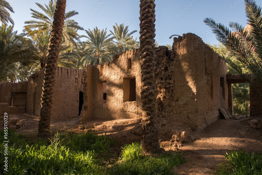 Obraz premium AlUla - Landscape - Oasis (Saudi Arabia)