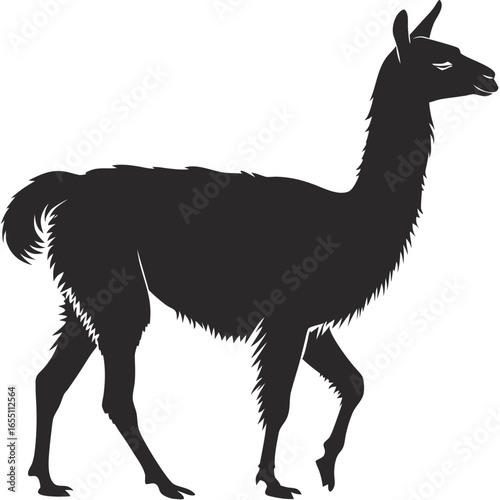 Serene Llama Silhouette: Elegant Black and White Vector Illustration of a South American Camelid.