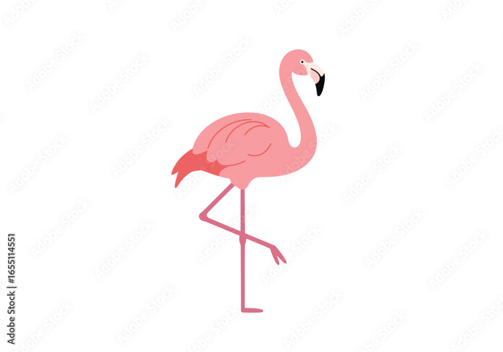 Obraz premium Pink Flamingo Standing on One Leg Simple Illustration.