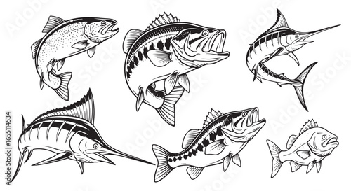 Collection of Six Detailed Black and White Fish Illustrations for Fishing Enthusiasts