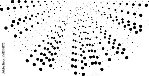 Semi-circular dotted long rays arranged irregularly without differences in length.