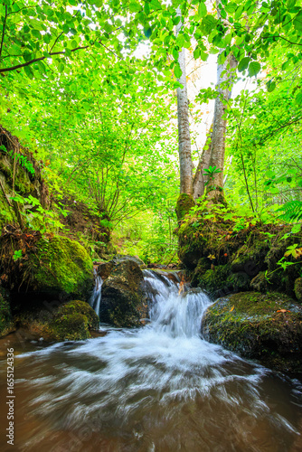 Picture of the Aguzou stream in the mountains of southern France with small waterfalls, rocks, forest and green vegetation. Very close to the small village of Escouloubre in the Pyrenees Mountains
