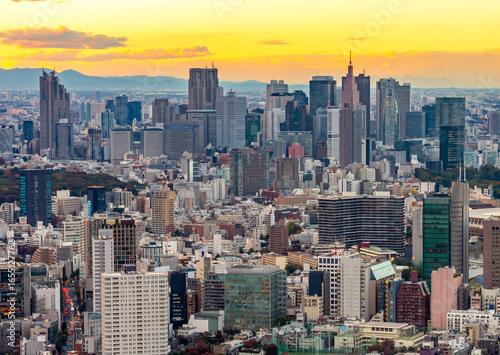 Photography Tokyo skyline with Shinjuku district skyscrapers at sunset, Japan
