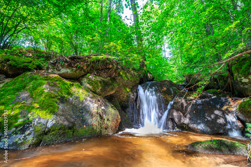 Obraz na płótnie Picture of the Aguzou stream in the mountains of southern France with small waterfalls, rocks, forest and green vegetation