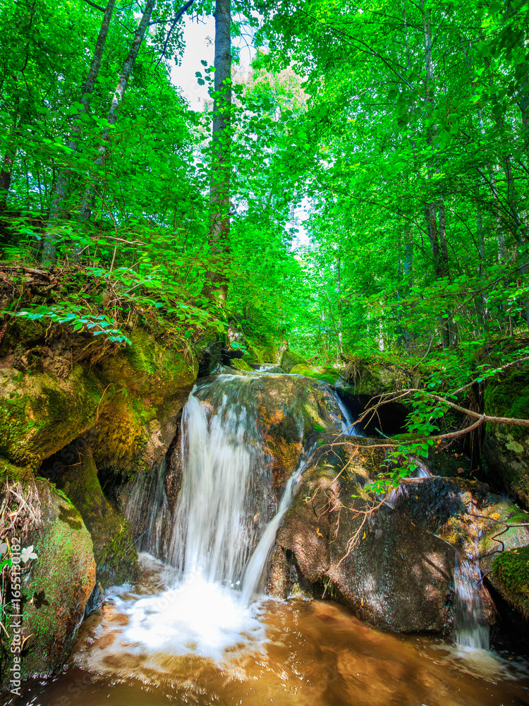 Obraz premium Picture of the Aguzou stream in the mountains of southern France with small waterfalls, rocks, forest and green vegetation. Very close to the small village of Escouloubre in the Pyrenees Mountains 