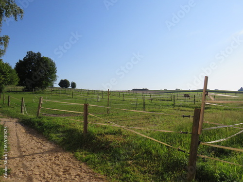 a fence in a field