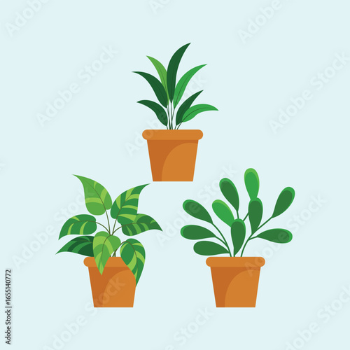 Flat houseplant collection
