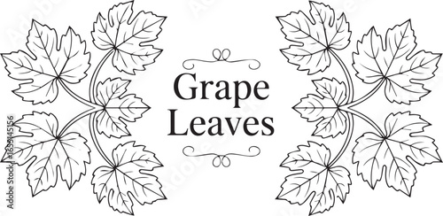 symmetrical grape leaves design botanical illustration for wine labeling decorative label vector ai eps jpeg png