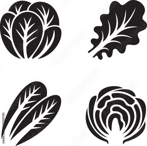 Set of Salad Lettuce silhouette vector illustration isolated On Transparent Background